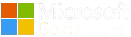 MSgold-partner